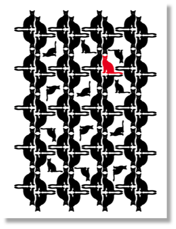 One Cat in a Million Wallpaper