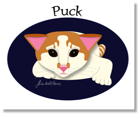 Pucky
