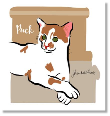 Puck