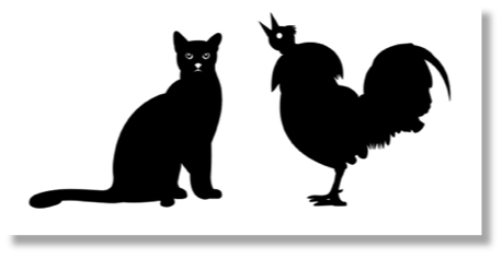 Pussy and Cock