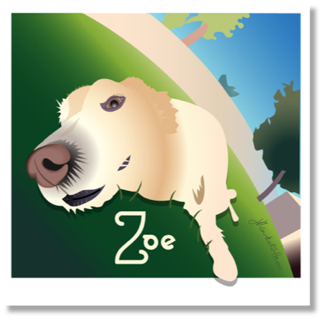 Zoe