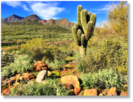 Cave Creek State Park